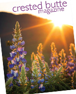 Summer 2020 Magazine. Click to see it NOW!